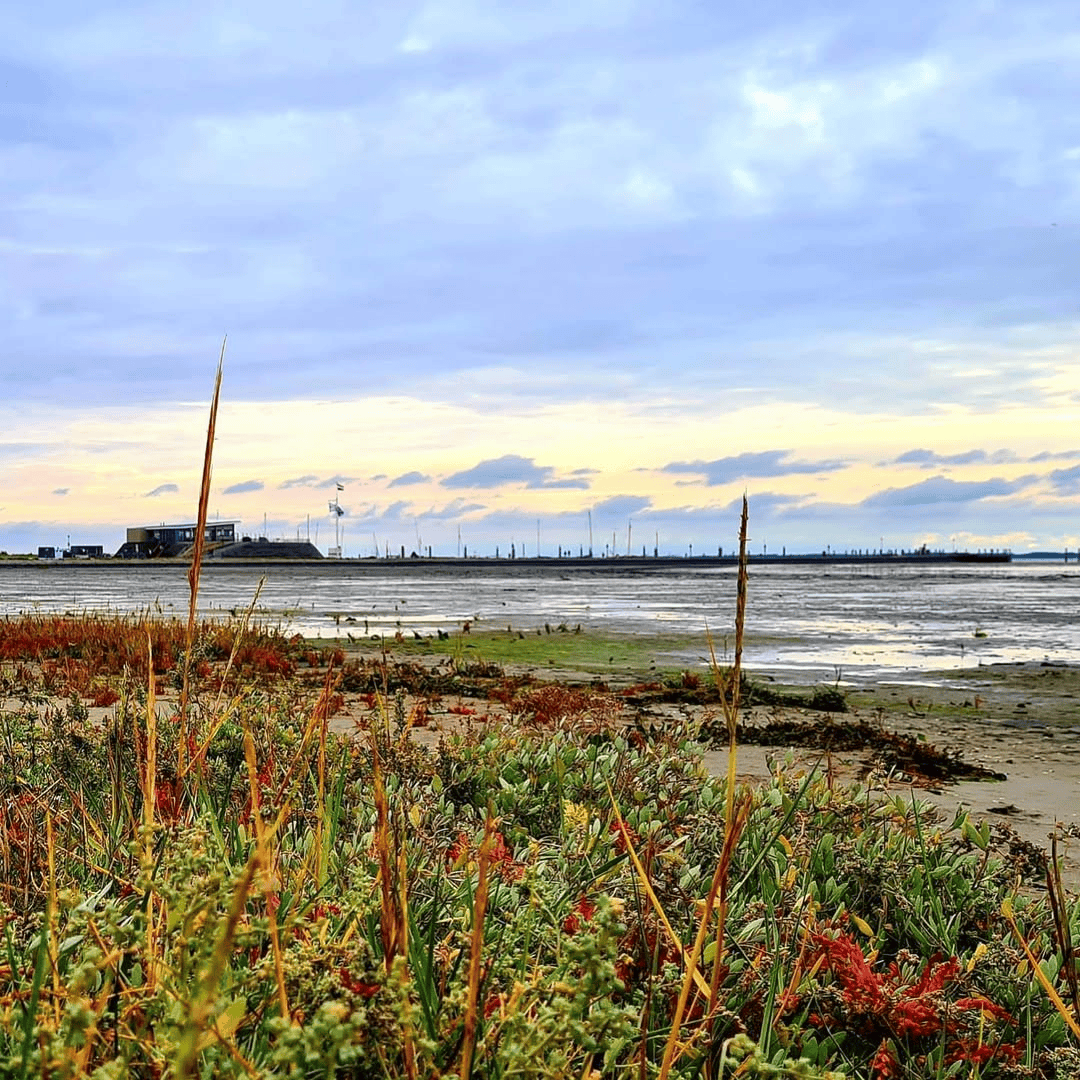 Overnachten in Stijl at Huize Ebeis on Schiermonnikoog